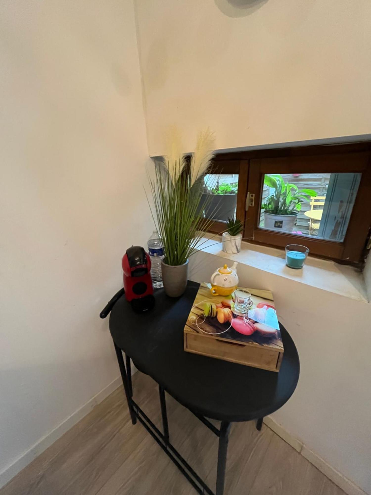 Apartamento Grand Sur Cour Privative Muret